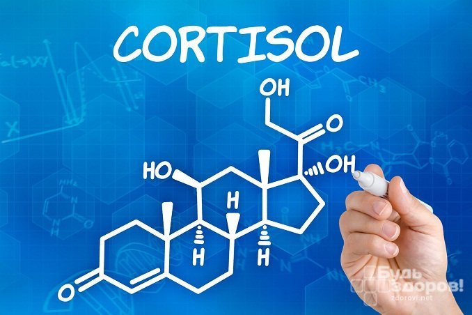 Кортизол вырабатывается надпочечниками