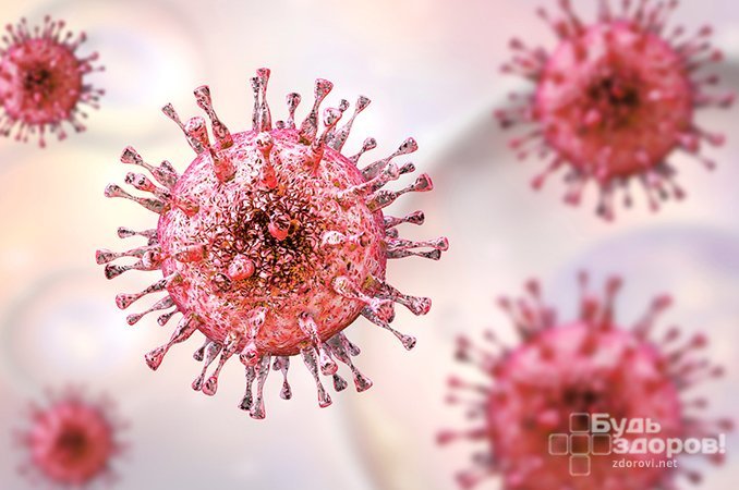 Цитомегаловирус - вирус группы герпесов