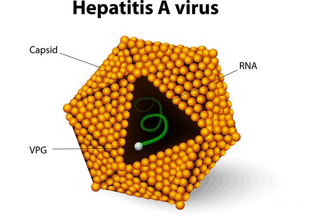Признаки гепатита А