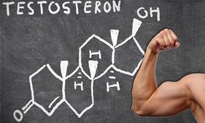 Тестостерон – что это за гормон и для чего он нужен