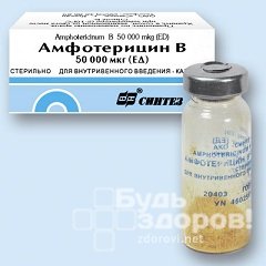 Амфотерицин В в форме лиофилизата для приготовления раствора