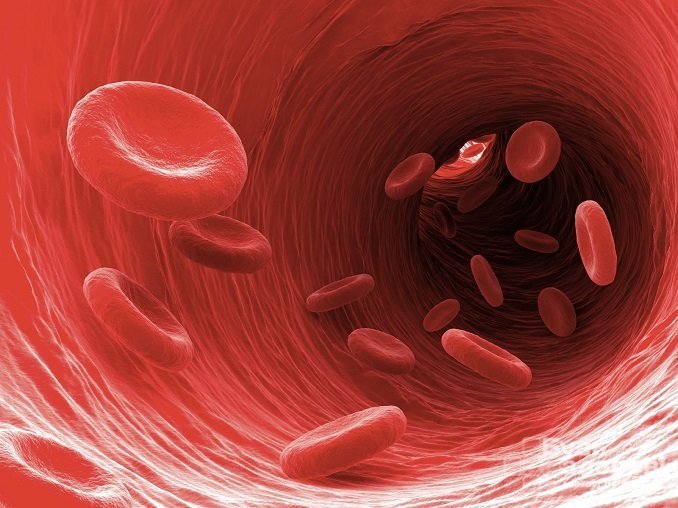 В анализе крови аббревиатурой MCV обозначают средний объем эритроцитов 