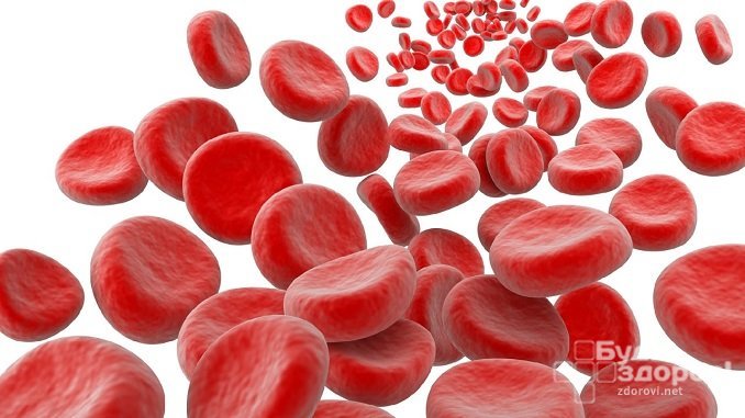 Гемоглобин содержится в красных кровяных тельцах – эритроцитах