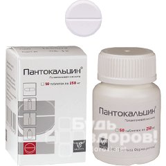 Таблетки Пантокальцин 250 мг