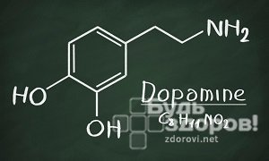 Дофамин: как повысить уровень гормона