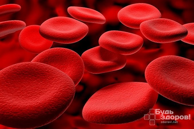 Эритроциты составляют большую часть всех форменных элементов крови