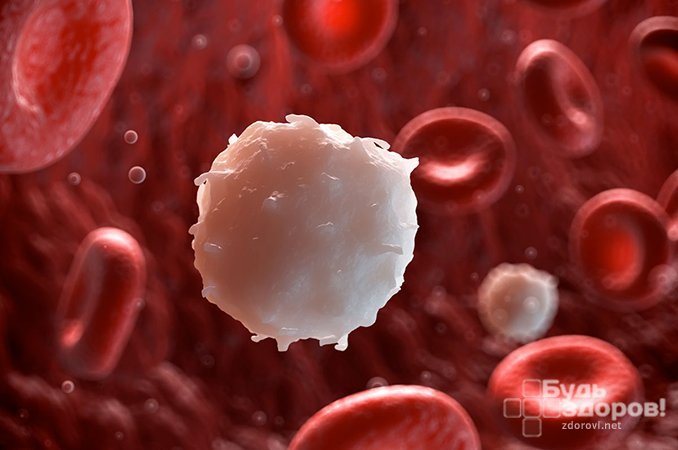 Лейкоцитоз - увеличение в крови количества лейкоцитов