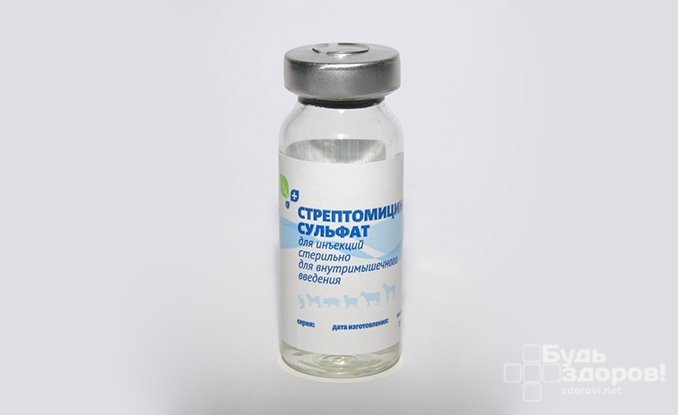 Стрептомицин - препарат, применяющийся при лечении чумы