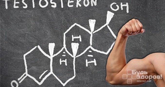 Активные физические нагрузки оказывают влияние на уровень тестостерона