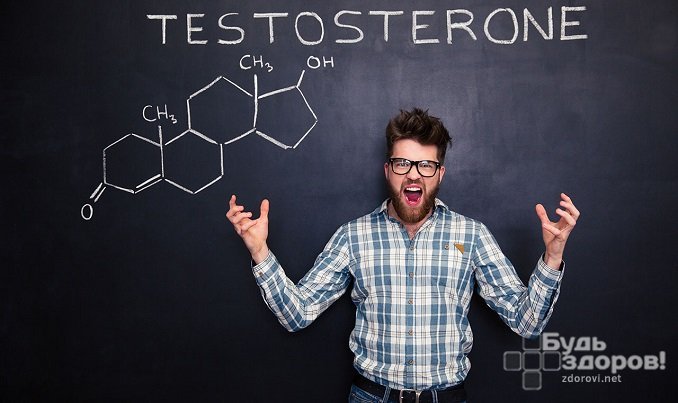 Тестостерон является основным мужским половым гормоном