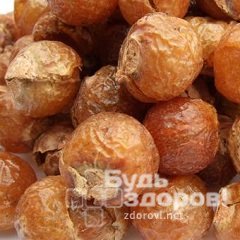 Мыльные орехи – плоды дерева сапиндус