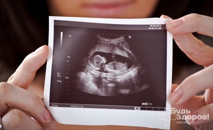 Развитие малыша во 2-ом триместре беременности