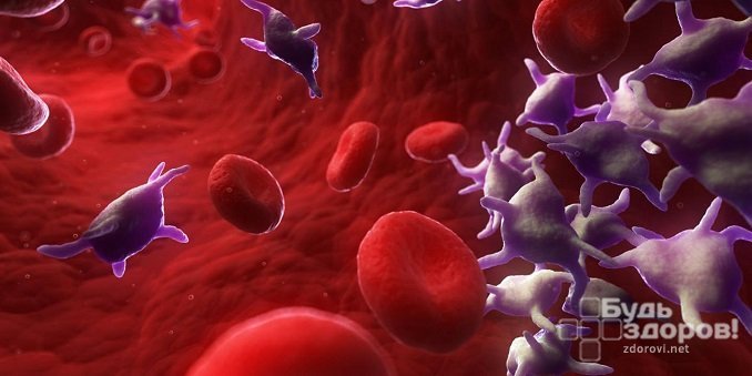 Тромбоциты – форменные элементы крови, отвечающие за ее свертываемость