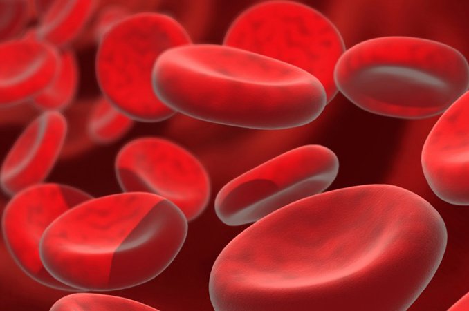 Азотемия – причины, симптомы, лечение, виды, диагностика