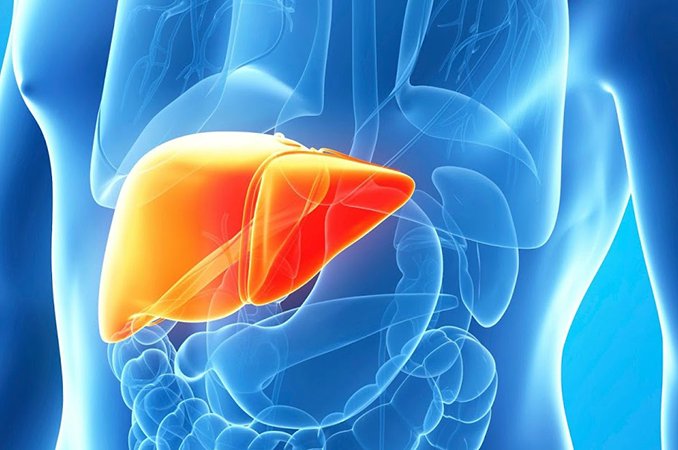 Гепатомегалия печени - признаки, причины, лечение