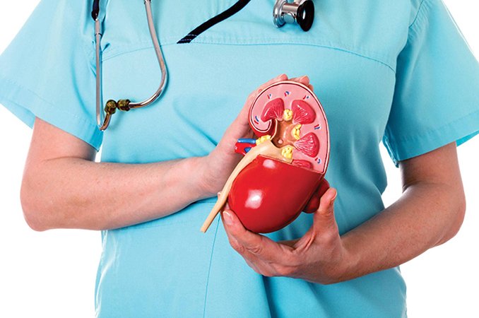 Почечная недостаточность – стадии, симптомы, лечение